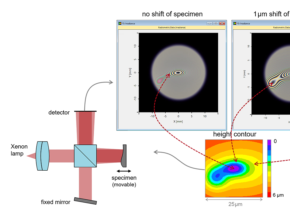 Working Principle of Optical Coherence Tomography